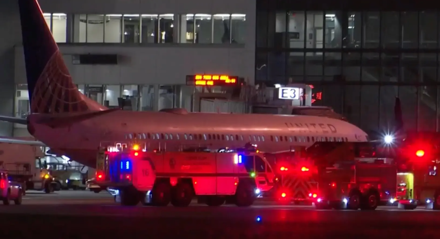 美聯航兩架飛機撞到鳥群后緊急降落 美聯航兩架飛機撞到鳥群后緊急降落