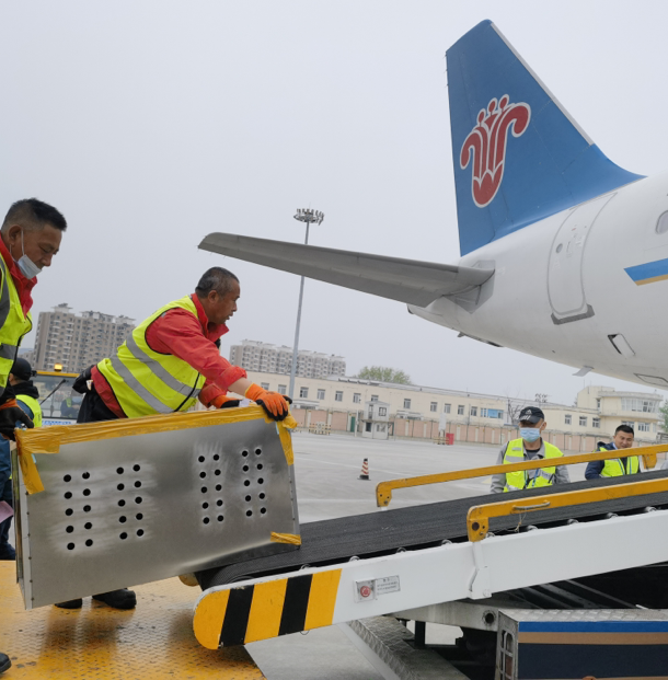 群猴結伴出行 乘飛機坐卡車 享受VIP級“門到門”服務 群猴結伴出行 乘飛機坐卡車 享受VIP級“門到門”服務