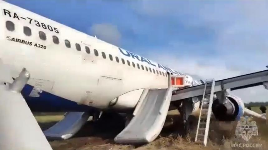 俄羅斯一架空客A320飛機出故障迫降在麥田 支付麥田主人一年租金 俄羅斯一架空客A320飛機出故障迫降在麥田 支付麥田主人一年租金